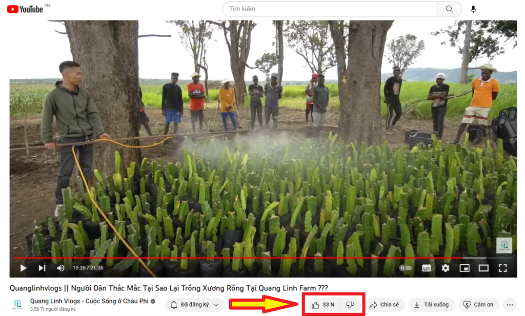 Video Quang Linh Vlogs với dự án làm Farm ở Châu Phi nhận được rất nhiều like